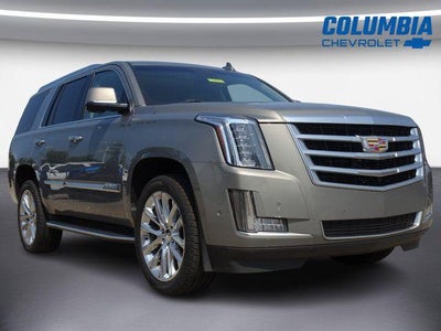 2019 Cadillac Escalade Luxury